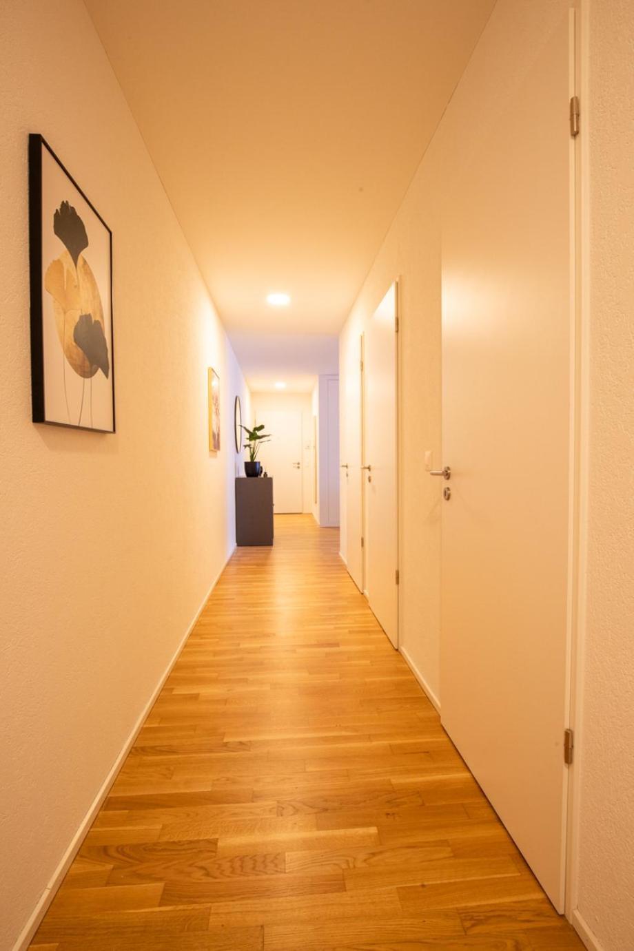 Special Einstein II Apartment Basel, Messe Kleinbasel 10-Star Buitenkant foto